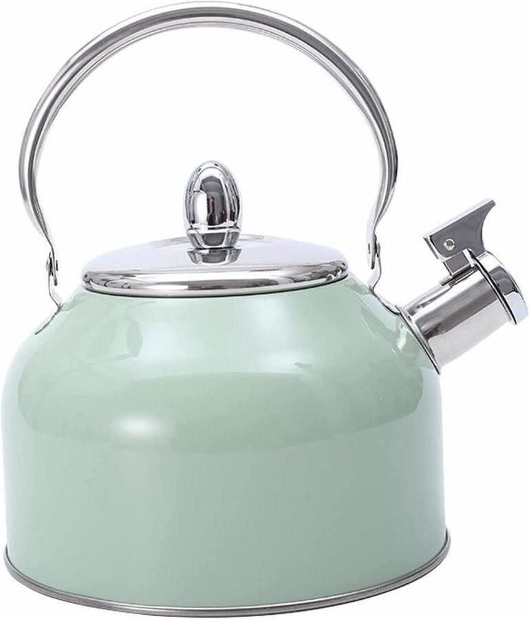 Waterkoker RVS Theepot fluitketel Water Koken Luid Fluit Signaal 2.5 Liter Zilverkleurig