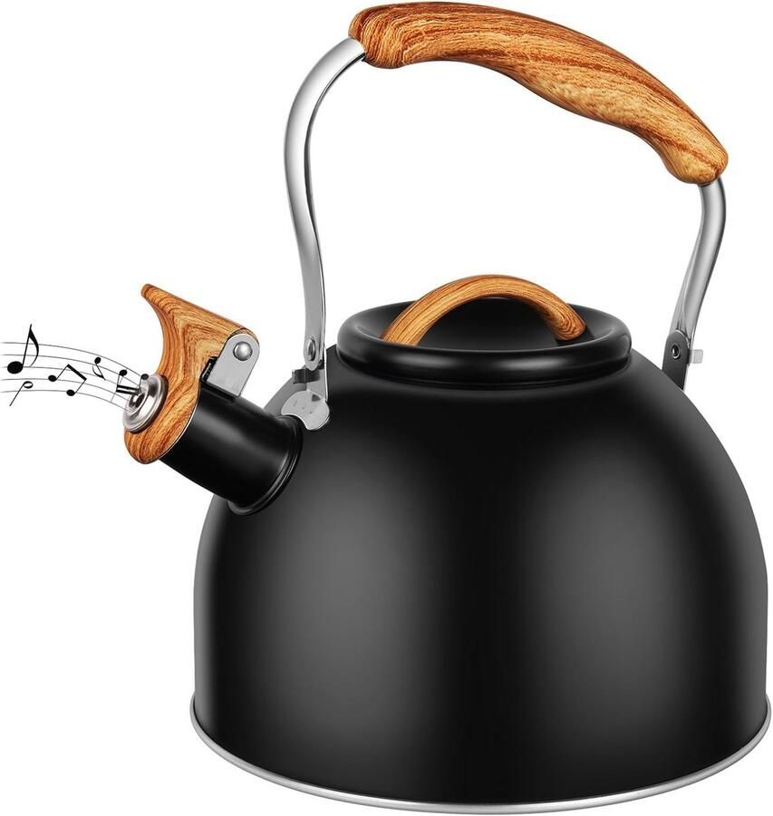 Waterketel RVS Theeketel Fluitketel Koffie Thee Zetten Hittebestendige Handgreep 3 Liter Inhoud Zilver