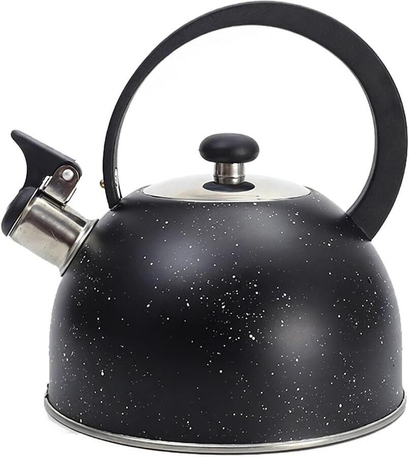 Waterketel RVS Theeketel Fluitketel Koken Water Geschikt Alle Vuren 25 Liter Inhoud Zwart