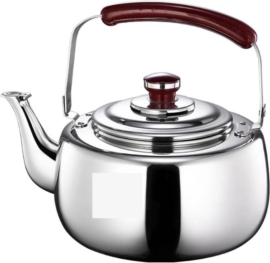 Waterketel RVS Theeketel Koken Water Verwarmen Luid Fluitend Geluid 6 Liter Inhoud Zilverkleurig