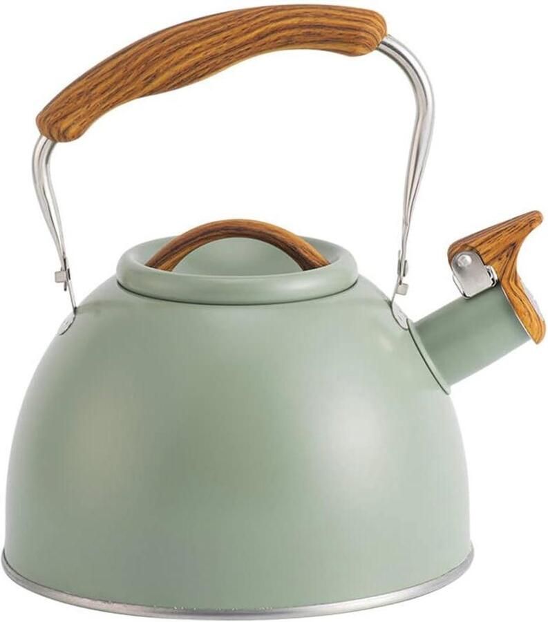 Waterketel RVS Theeketel met fluit Water Koken Hittebestendige Greep 3 Liter Inhoud Groen