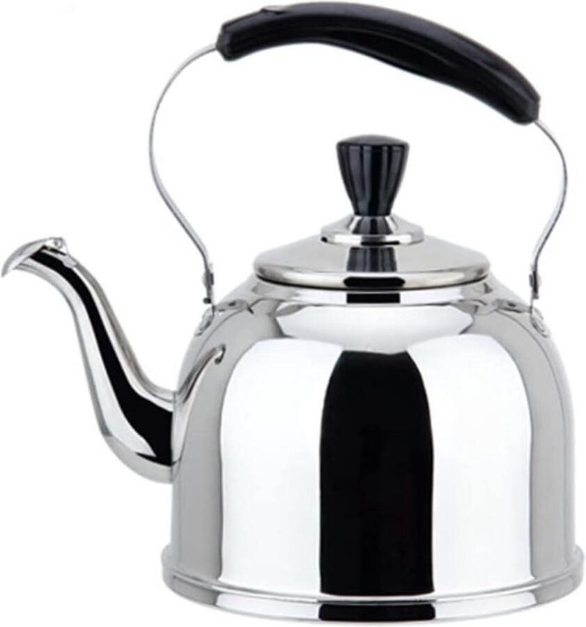 Waterketel RVS Theepot Fluitketel Water Koken Anti-verbrandingsgreep 4 Liter Zilverkleurig