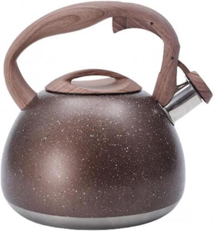 Waterketel RVS Theepot Ketel Water Koken Snelle Verwarming 300 Gram Wit