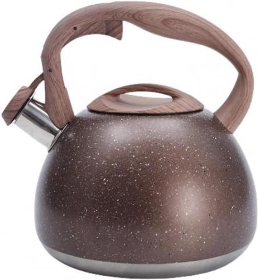 Waterketel RVS Theepot Keuken Water Koken Snelle Verwarming 300 ml Wit