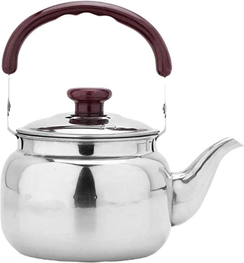 Waterketel Theeketel Fluitketel Water Koken Roestvrij Staal 0.75L