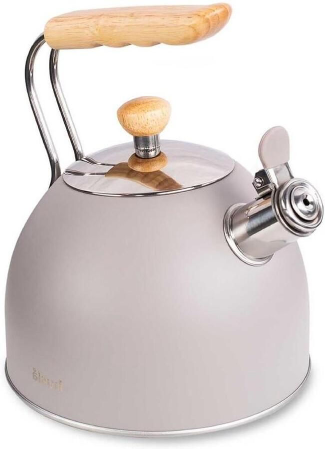 Waterketel Theeketel Fornuis Thee Water Koken Fluitend 2.5 L Zwart