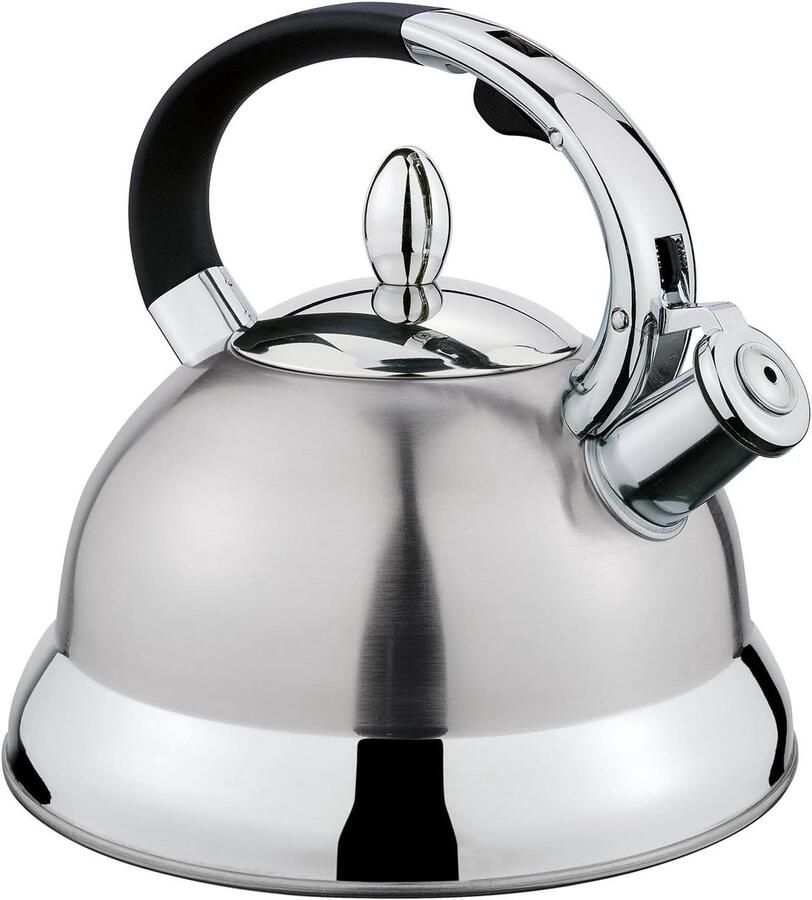 Waterketel Theeketel Fornuis Water Koken Klassiek Design 29 Liter Zilver