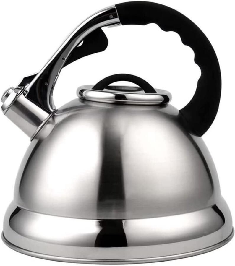 Waterketel Theeketel Kookketel Snel Water Koken Fluitend Signaal 4.2 Liter Capaciteit