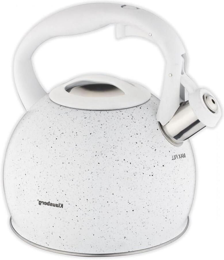 Waterketel Theepot Ketel Water Koken Roestvrij Staal 2 liter Zilver