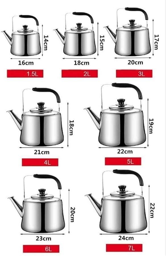 Waterketel Theepot Kookplaat Snel Water Koken Fluitend Geluid 4 Liter Zilver