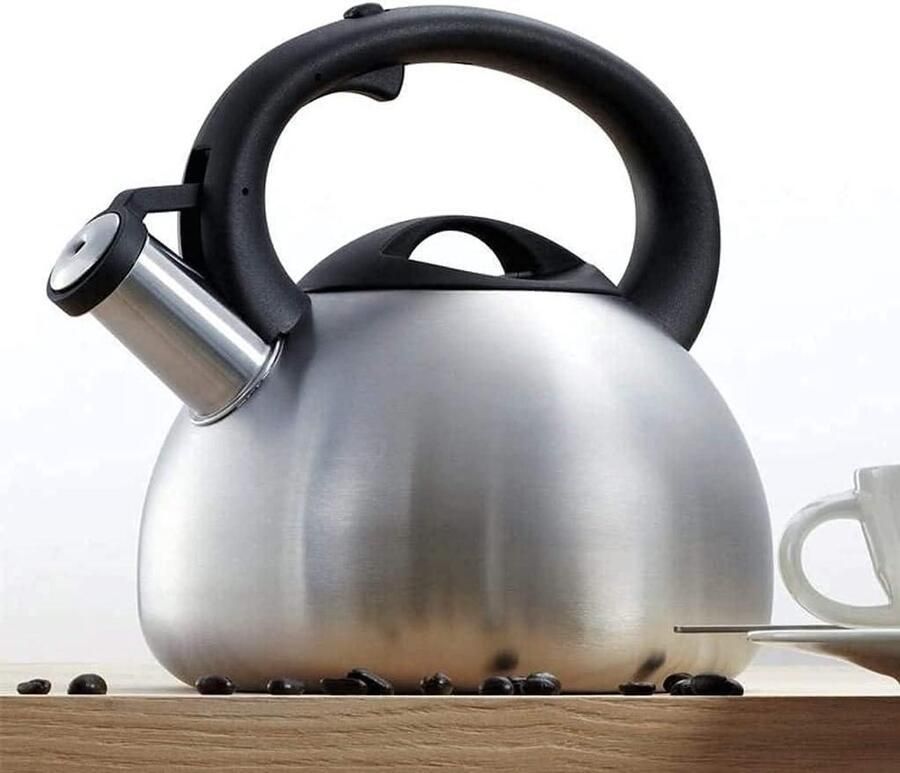 Waterketel Theepot Kookplaat Water Koken Roestvrij Staal 2.5 Liter Zilverkleurig