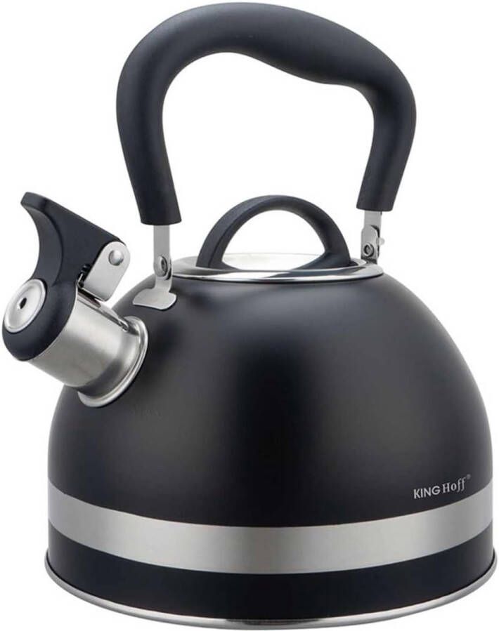 Waterkoker 1 8 liter van roestvrij staal Fluitketel voor alle kookplaten met inklapbare handgreep