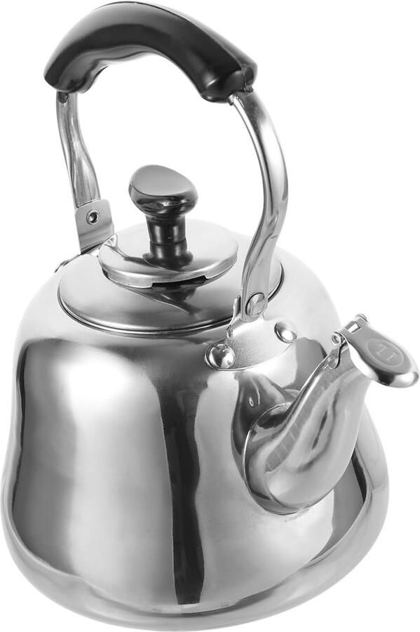 SnelShoppen RVS Waterkoker 1L met Filter Huishoudelijke Kettle voor Gas en Inductiekookplaat BPA-vrij voor Thee en Koffie Praktische Theeketel