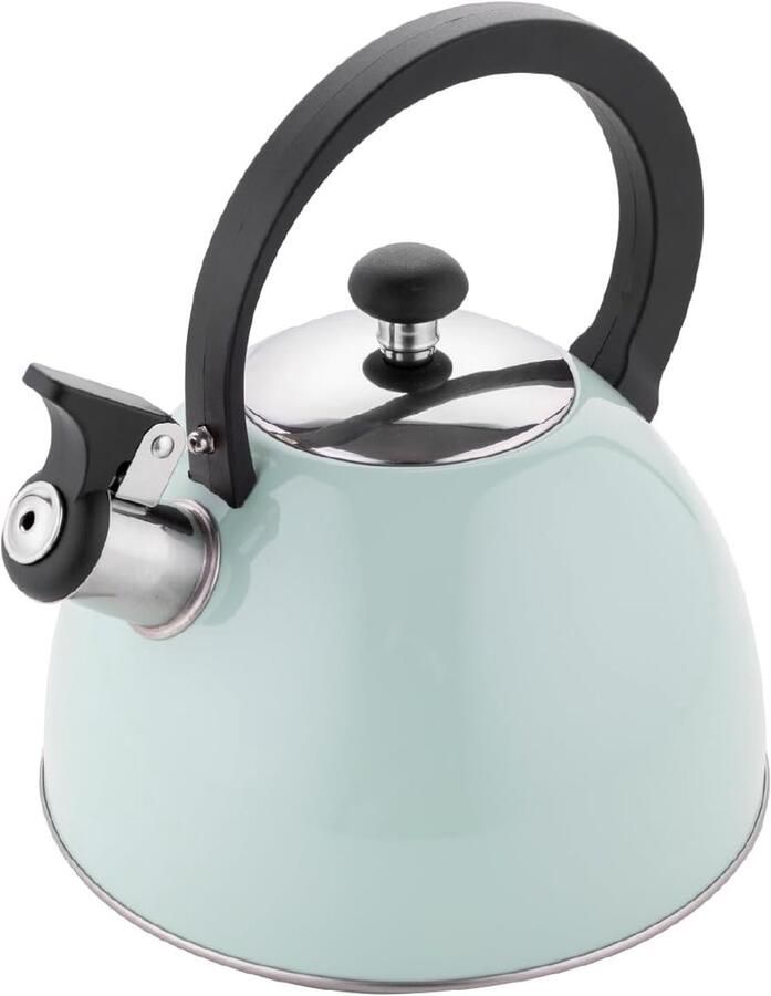 Waterkoker (2 5 l) I Roestvrijstalen Waterkoker BRILLO I Fluitketel met Bakelieten Handvat I Krasbestendig I Waterketel voor Inductiekookplaat Gasfornuis en Elektrisch fornuis I Mint