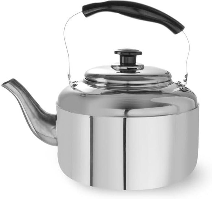 Waterkoker 6L Theepot RVS Water Koken Rubberen Handvat 6 Liter Zilver