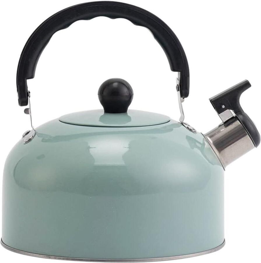 Waterkoker Fluitend Theeketel RVS Koffie en Thee Zelfnivellerend 3L Zilverkleurig