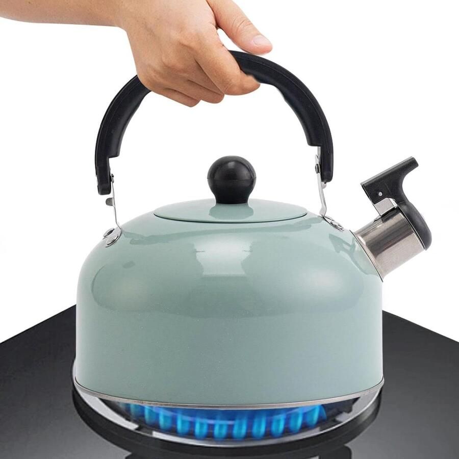 Waterkoker Fluitend Theepot RVS Koffie en Thee Snelle Kooktechnologie 3 Liter Capaciteit Groen
