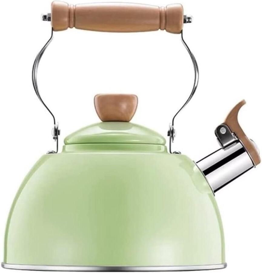 Geklokte Waterkoker Theepot Kookpan Water Koken Roestvrij Staal 2.5 Liter Groen