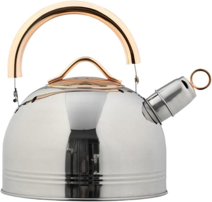 Waterkoker Fluitketel Kookpan Theepot Water Koken Roestvrij Staal 3 Liter Zilver
