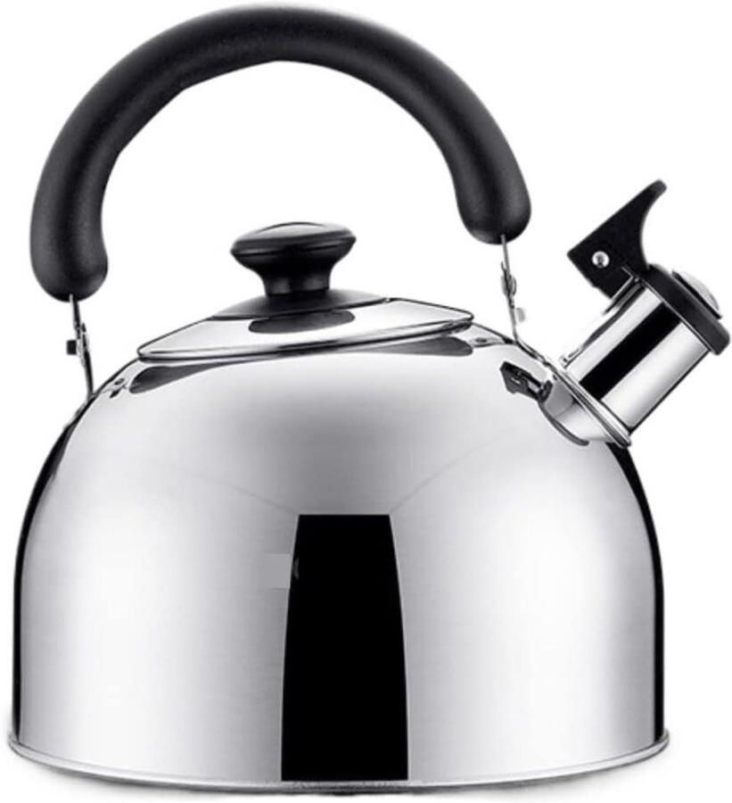 Waterkoker Fluitketel Kookpan Water Koken Met Handvat 3 Liter Zilver