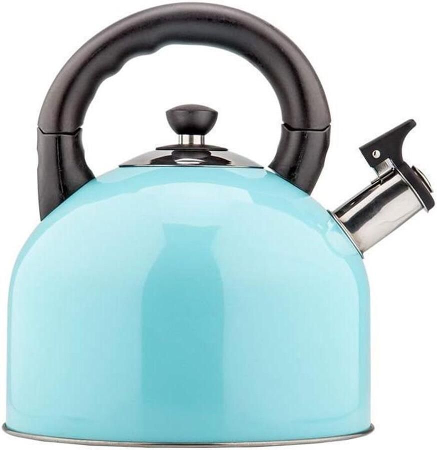 Waterkoker Fluitketel Kookpan Water Koken Roestvrij Staal 304 44L Blauw