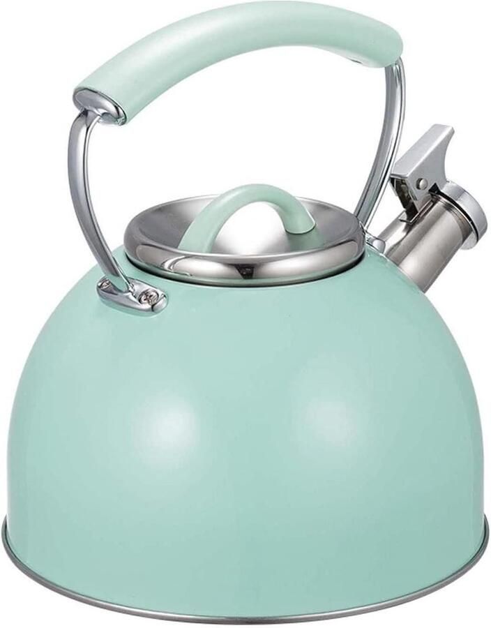 Waterkoker Fluitketel Kookplaat Ketel Water Koken Universele Kookplaat Geschikt 2.5 Liter Zilver
