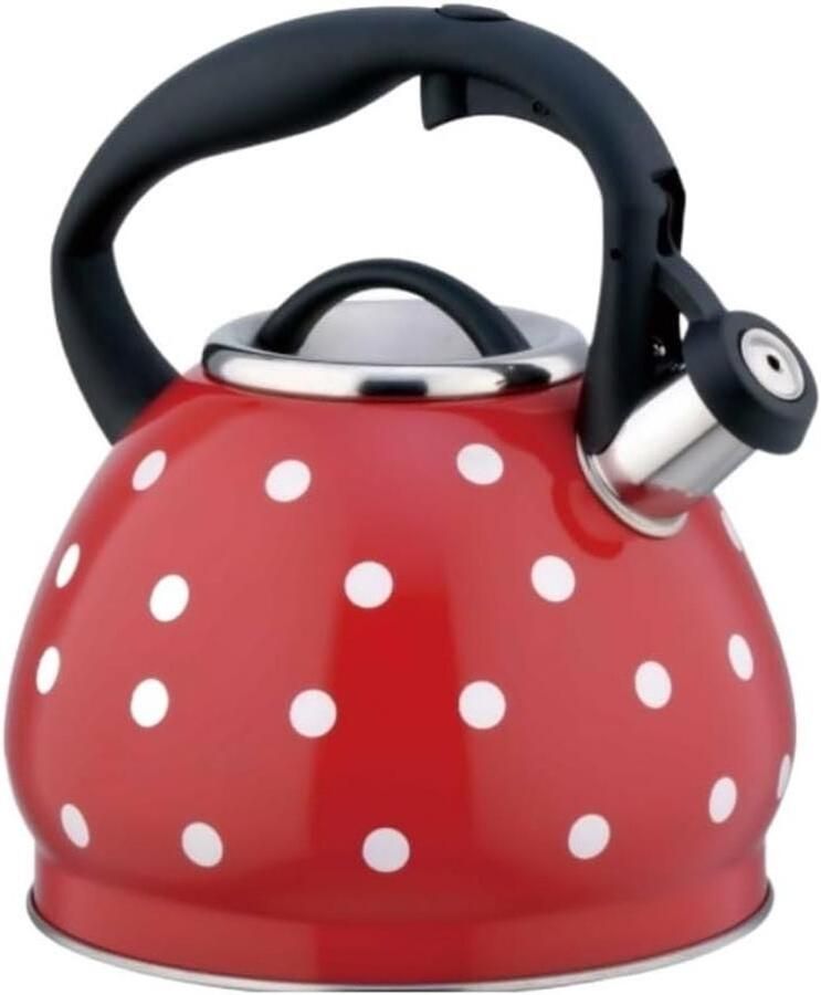 Waterkoker Fluitketel Thee Ketel Water Koken Automatisch Fluit Signaal 3 Liter Zilverkleurig