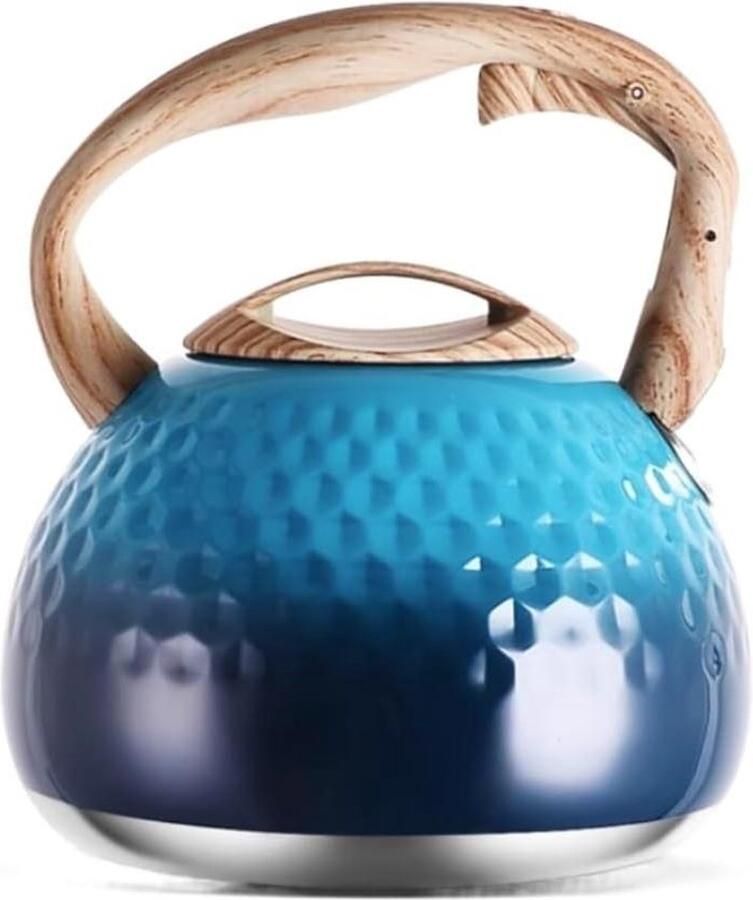 Waterkoker Fluitketel Theeketel Kookketel Water Koken Verdikte Bodem 3L Blauw