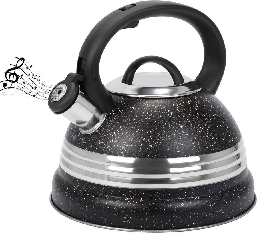 Waterkoker Fluitketel Theepot Koken Snel Water Koken Luid Fluit Signaal 3 Liter Capaciteit Zwart