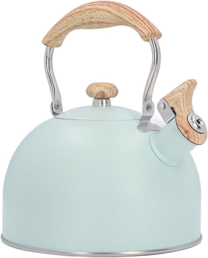 Waterkoker Fluitketel Theepot Koken Water Koken Grote Capaciteit 2.5 Liter Groen