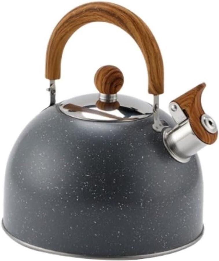 Waterkoker Fluitketel Theepot Koken Water Verwarmen Roestvrij Staal 2.5 Liter Zilver