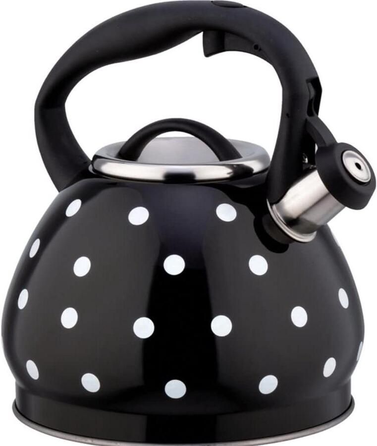 Waterkoker Fluitketel Theepot Kookpan Water Koken Geluidsignaal Koken 3 Liter Inhoud Zwart