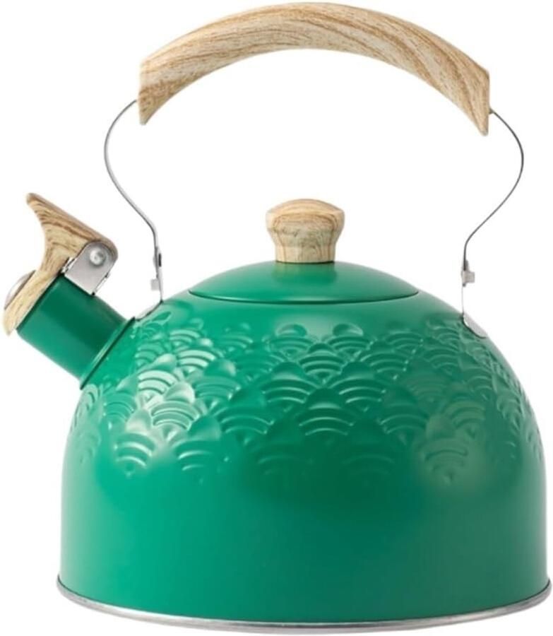 Waterkoker Fluitketel Theepot Kookplaat Water Koken Efficiënt Verwarmen 2.5L Capaciteit Zilver