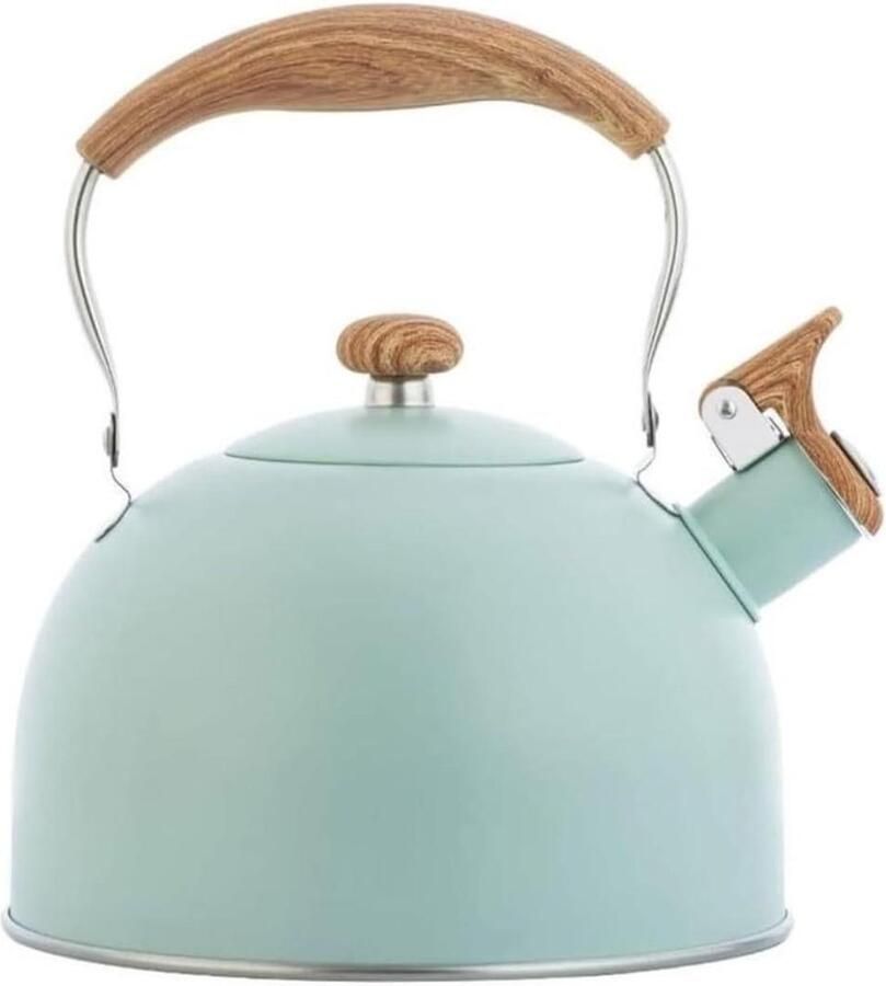 Waterkoker Fluitketel Theepot Kookplaat Water Koken Ingebouwd Fluitje 2.5L Inhoud Groen