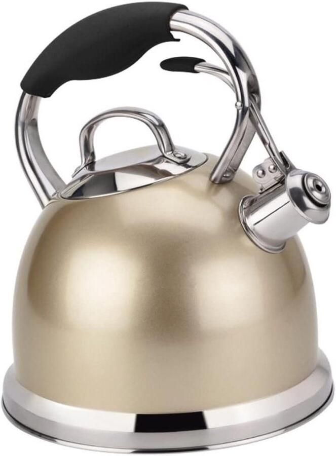 Waterkoker Fluitketel Theepot Kookplaat Water Koken Roestvrij Staal 3L Zilver