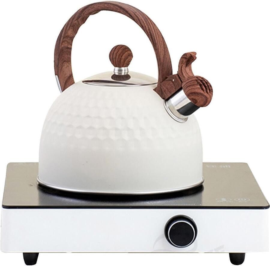 Waterkoker Fluitketel Theepot RVS Snel Water Koken Ergonomisch Handvat 25 Liter Inhoud Bruin