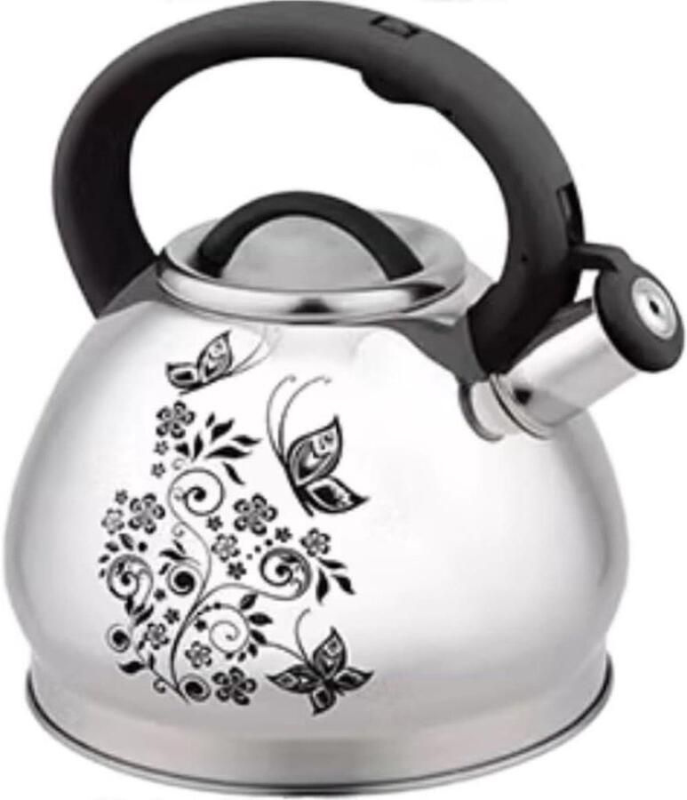Waterkoker Fluitketel Theepot RVS Warme Dranken Maken Gelijkmatige Warmtegeleiding 3L Inhoud Zilverkleurig