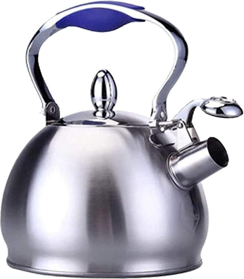 Waterkoker Fluitketel Theepot RVS Water Koken Brede Opening 25 Liter Zilver