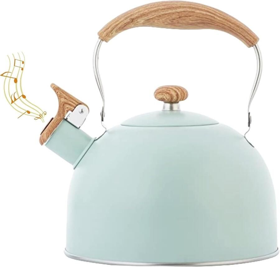 Waterkoker Fluitketel Theepot RVS Water Koken Koel Greep 3 Liter Lichtgroen