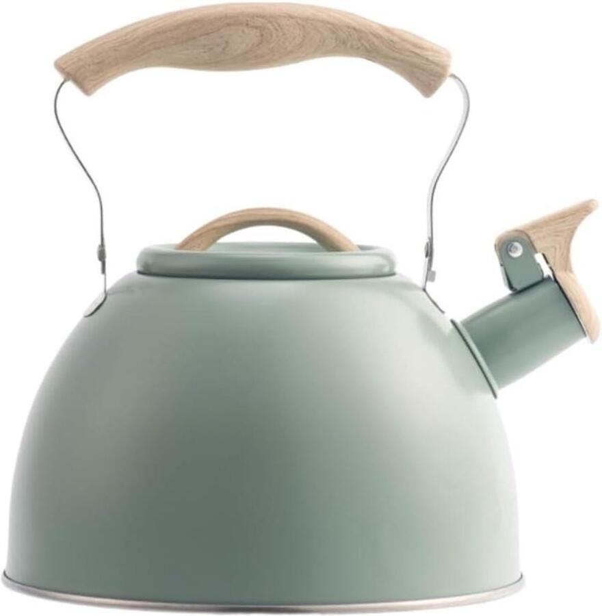Waterkoker Fluitketel Theepot RVS Water Koken Snelkokende Bodem 3L Groen