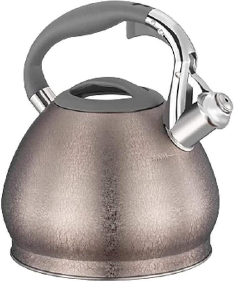 Waterkoker Fluitketel Theepot RVS Water Koken Verdikte Bodem 3 Liter Zilver