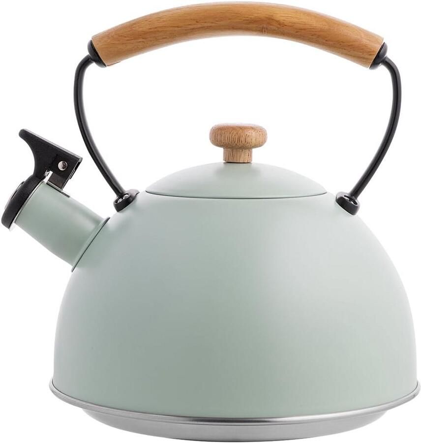 Waterkoker 2.3L Theeketel RVS Warme Dranken Maken Automatische Fluitfunctie 2.3 Liter Mint Groen