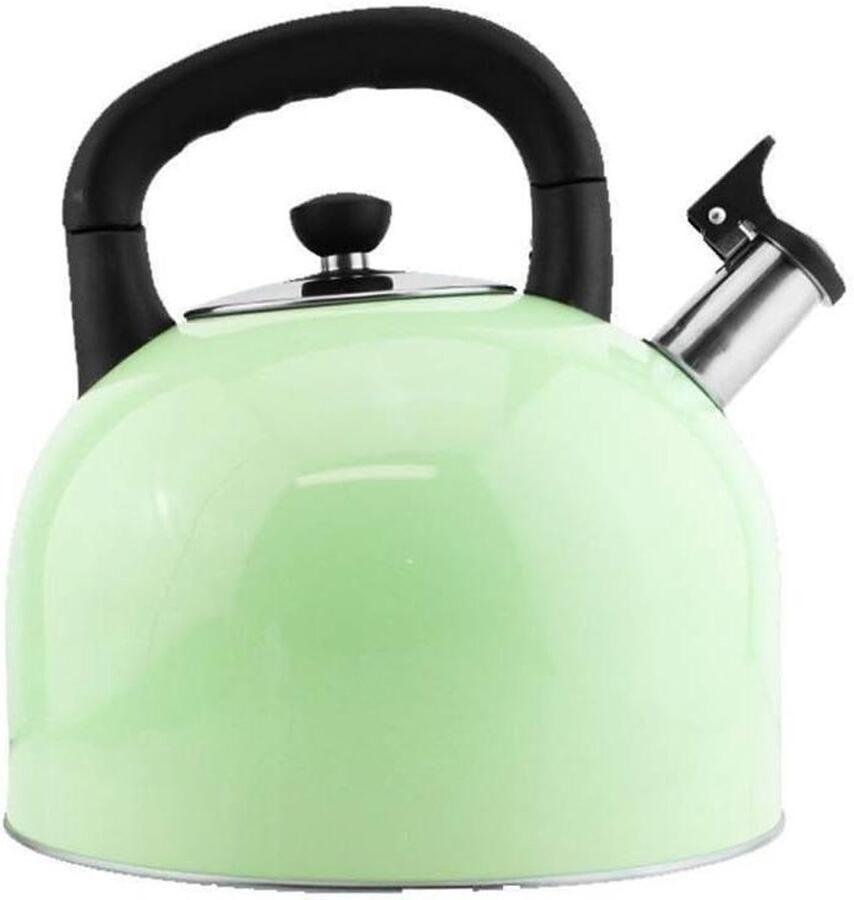 Waterkoker Fornuis RVS Ketel Water Koken Luid Fluit Signaal 5 Liter Groen
