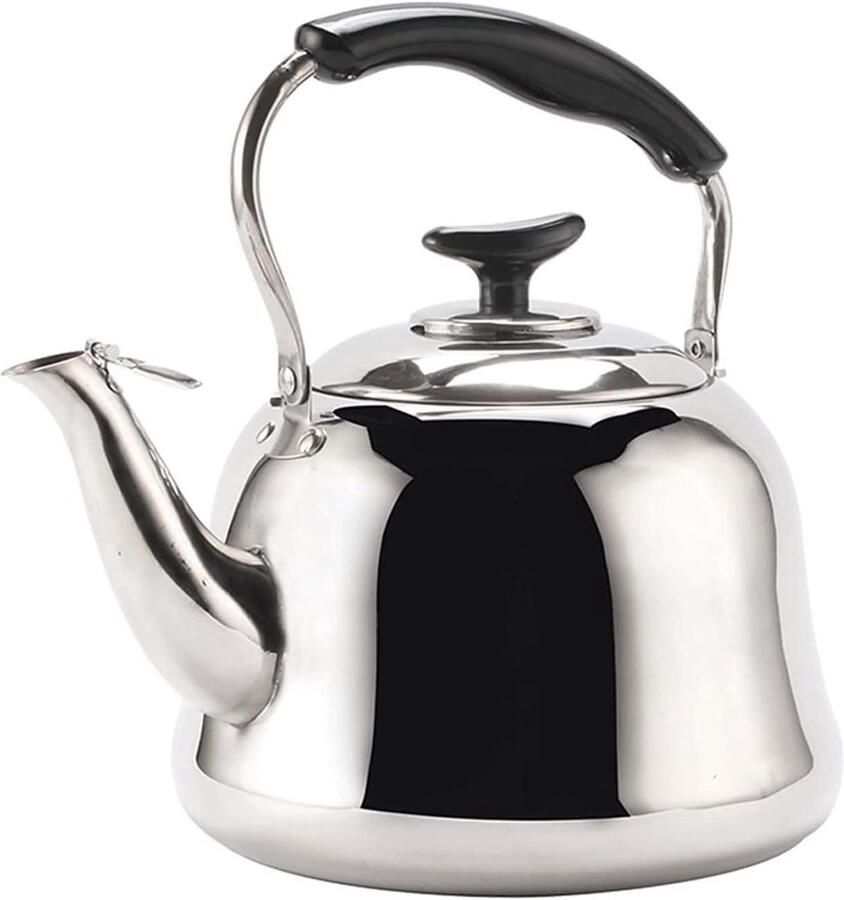 Waterkoker Fornuis Theeketel RVS Water Koken Sterke Compatibiliteit 4L Zilver