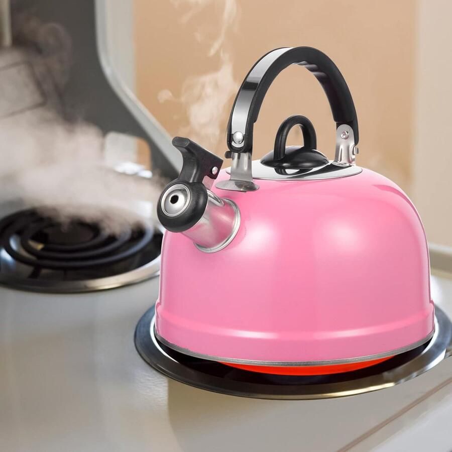 Waterkoker Fornuis Theepot RVS Snel Water Koken Inklapbare Handgreep 20 cm Hoog Zilverkleurig