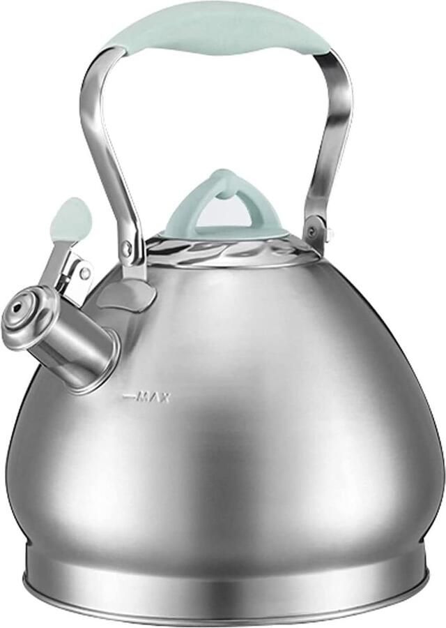 Waterkoker Fornuis Theepot RVS Water Koken Fluit bij Koken 4.3 Liter Groen