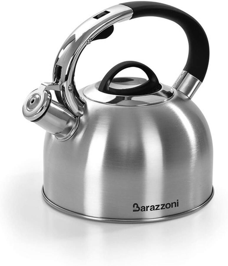 Waterkoker gesatineerd staal