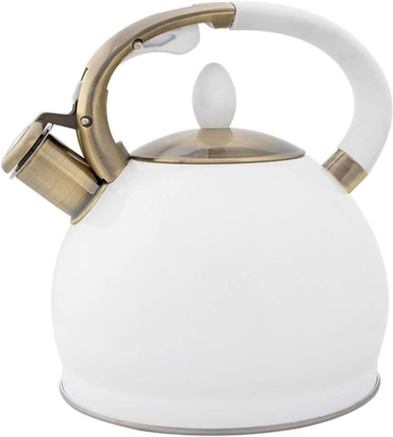 Waterkoker Glas Theeketel Kookpan Water Koken Hittebestendig Glas 25 L Wit