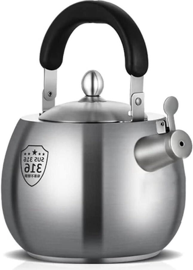 Waterkoker Inductie Theepot Kookplaat Water Koken Voedselveilig RVS 6L Staal