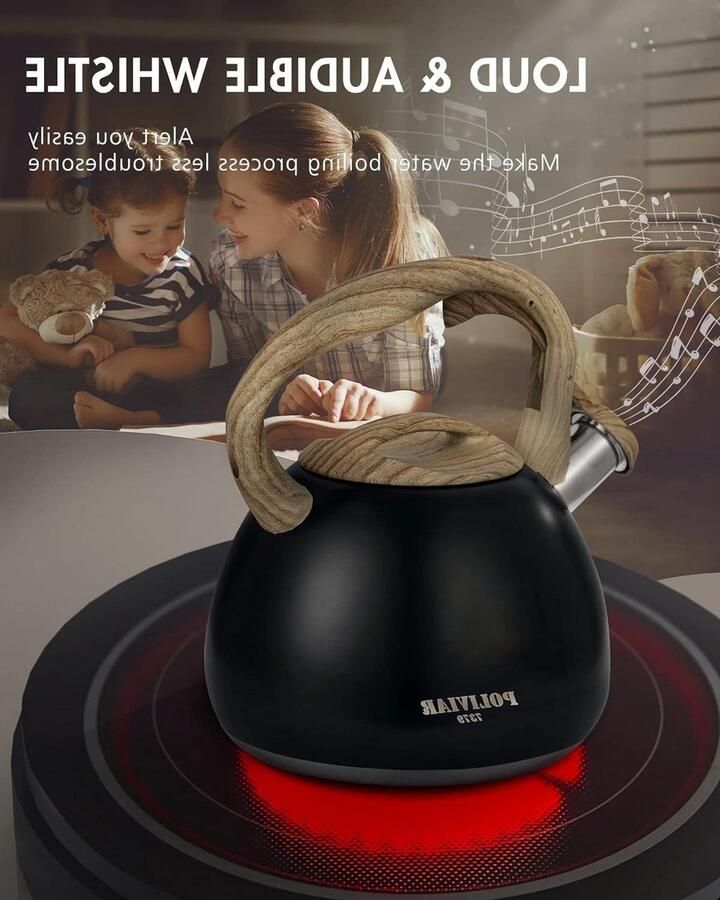 Waterkoker Ketel Theepot Rvs Koffie Thee Zetten Luid Fluit Signaal 2.7 Liter Zwart